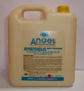 Angel Professional Bulk Deep Cleansing Shampoo